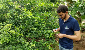 Programa AgroResidência promove capacitação e inserção de jovens no mercado de trabalho