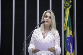 Aprovada urgência para projeto que regulamenta identificação de produtos artesanais de origem vegetal