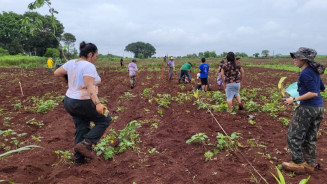 Aldeia Indígena Panambizinho ganha Sistema Agroflorestal