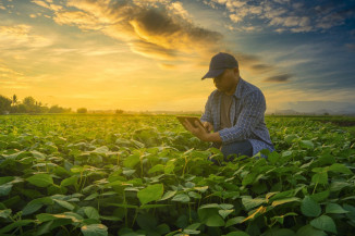 Mapa lança portal sobre o ecossistema de inovação agro no país