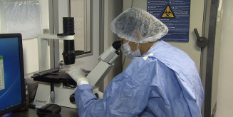 Brasil integra debate da OMS sobre iniciativa global de controle das arboviroses