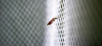 OMS lança plano para conter nova pandemia global