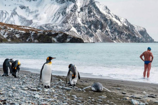 Aumento de temperaturas na Antártica preocupa e pode ter efeitos em todo mundo