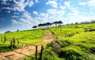 Decreto institui plano de regularização ambiental de imóveis rurais