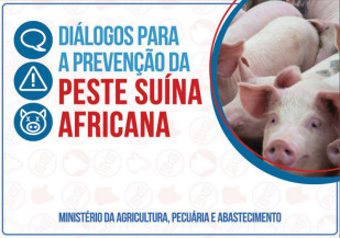 Mapa lança material didático para reforçar ação contra a peste suína africana