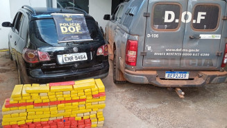 DOF prende homem que transportava mais de 160 kg de maconha para Campinas