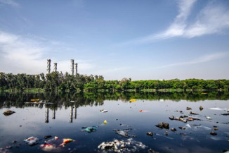 No Dia Mundial da Saúde, ONU foca na saúde do planeta e da população