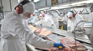Dourados inicia semana com 247 vagas de emprego