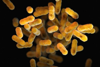 Relatório alerta para risco de superbactérias em água sem tratamento