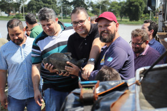Parque do Lago recebe 3 toneladas de peixe e pesca é liberada de quarta a domingo