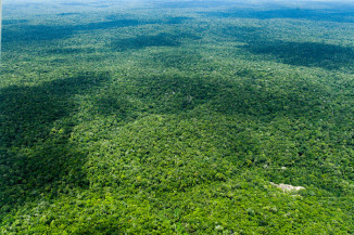 Concurso nacional premiará decisões judiciais em defesa do meio ambiente