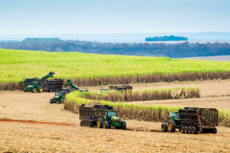 Safra 2021/2022 processa 523 milhões de toneladas de cana