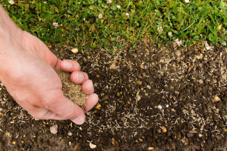 Mapa divulga estudos e pesquisas sobre Zoneamento Agrícola de Risco Climático
