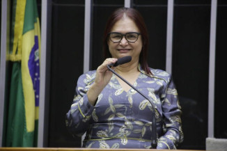 Comissão externa pretende atualizar diagnóstico sobre queimadas no País