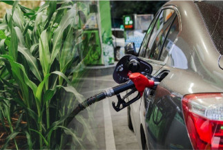 Indústria de biocombustíveis enfrenta desafios no mundo