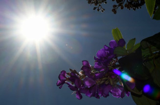 Previsão do Tempo: Final de semana de calor em praticamente todo o Estado