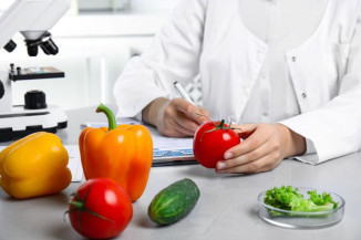 Mapa lança programas para controle das cadeias produtivas dos produtos de origem vegetal
