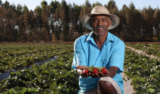 Comissão aprova isenção tributária para biodefensivos agropecuários