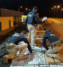 PRF apreende 5,5 toneladas de agrotóxicos e 300 mil maços de cigarros contrabandeados