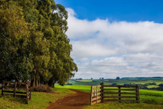 Mapa anuncia a liberação de R$ 990 milhões para o seguro rural