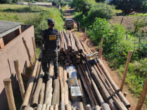 DOF apreende carga milionária de droga em meio carregamento de madeira