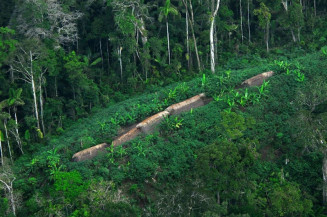 CMA debate fraude do Cadastro Ambiental Rural para grilagem