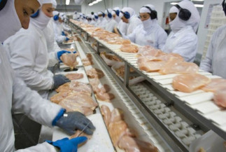 Valorização externa da carne de frango faz itens exportados se aproximarem dos preços recordes