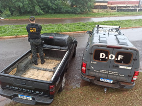 DOF apreende maconha e cocaína em fundo falso de caminhoneta