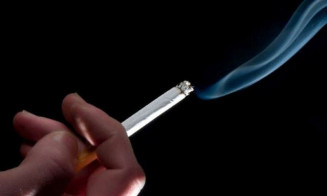 Fiocruz alerta para malefícios ambientais do tabaco