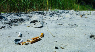 OMS revela danos ambientais causados pela indústria do tabaco