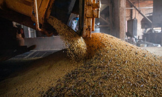 Safra de grãos deve chegar a 271,3 milhões de toneladas