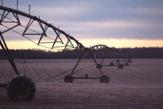 Irrigação garante o futuro da alimentação no cenário global