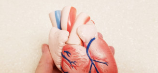 Doenças cardiovasculares aumentam até 30% nos períodos mais frios do ano
