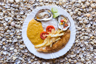 Países da América do Sul trocam experiência sobre produção de pescado