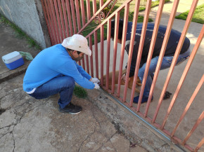 Dourados segue com vacinação Antirrábica itinerante nos bairros