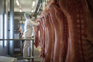 Exportação de carne suína atingiu quase 87 mil toneladas em maio