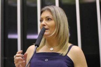 Câmara aprova projeto que dispensa autorização para plantio de espécie nativa em área rural