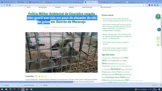 Ambiental resgata lobo-guará que caiu em poço de elevador de silo de grãos