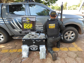 DOF apreende droga em ônibus e van