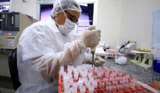 MS apresenta estabilidade nos novos casos de Covid e óbitos