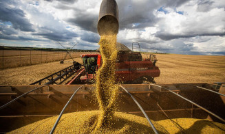 Plano Safra 2022/2023 anuncia R$ 340,8 bilhões para a agropecuária