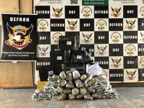Defron apreende droga avaliada em R$ 460 mil