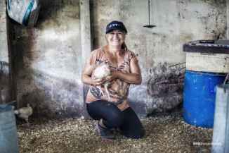 Produção agrícola e pesqueira nas Américas deve crescer 14% em 10 anos