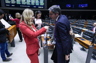 Derrubado veto a comitê de acompanhamento da violência contra a mulher