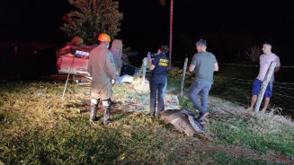 Produtor rural morre após perder controle de camionete na MS-276