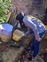 MS já tem o dobro de casos de dengue do ano passado e supera mortes registradas em 2021