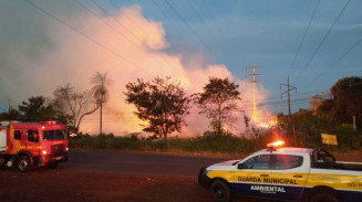 Após incêndio, Viveiro Municipal ficará fechado para a limpeza