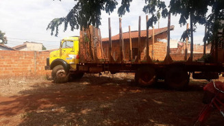 Criança de 5 anos morre ao ser atropelada por caminhão; motorista é preso