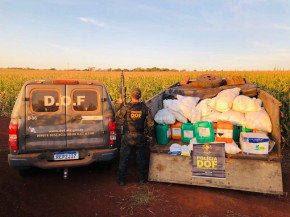 DOF apreende carregamento de defensivo agrícola contrabandeado avaliado em quase R$ 4 milhões