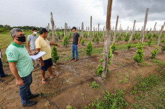 Lei autoriza oferta de cursos do Pronatec por instituições de assistência rural